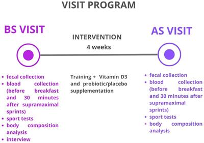 Combined probiotics with vitamin D3 supplementation improved aerobic performance and gut microbiome composition in mixed martial arts athletes